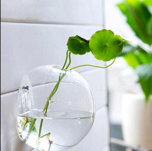 Wall Hanged Transparent Round Pot / Aquarium