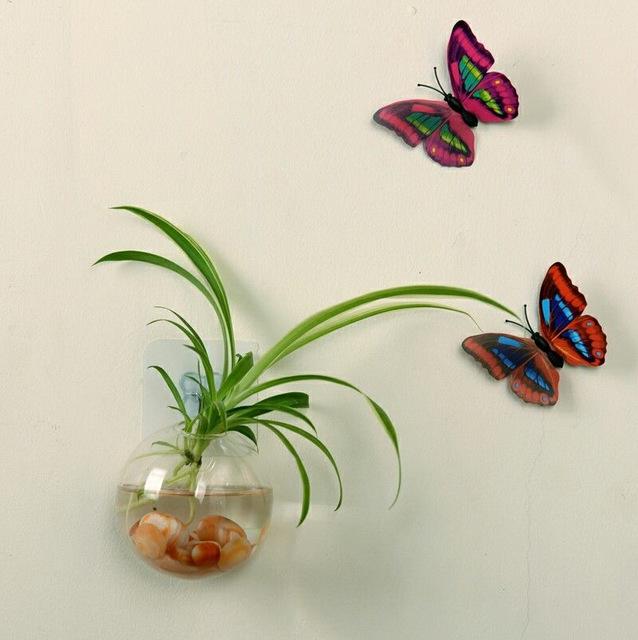 Wall Hanged Transparent Round Pot / Aquarium