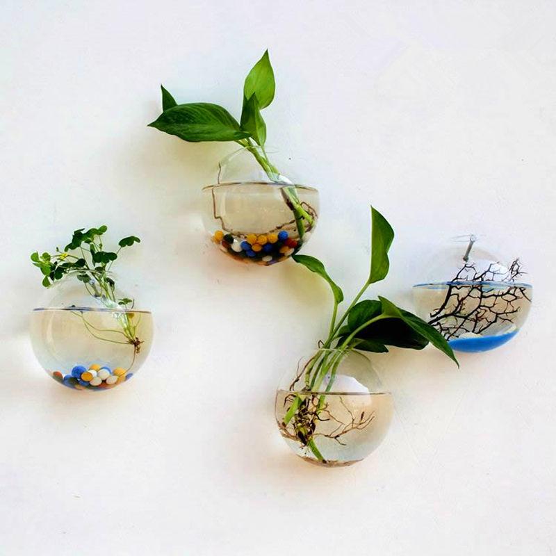 Wall Hanged Transparent Round Pot / Aquarium